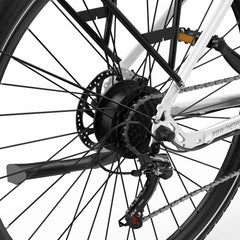 ONESPORT OT12 Urban Cargo Electric Bike