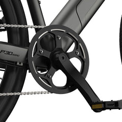 PVY P30 Electric Cargo Bike - PREORDER - EXPECTED IN SEPTEMBER.