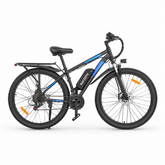 Rayzeph S29 Pro Electric Mountain Bike