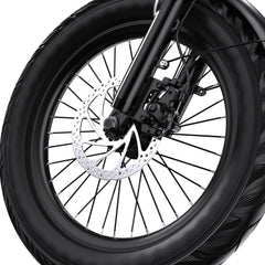 APEFOX RH30 Cargo Tricycle Bike