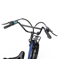 APEFOX RH30 Cargo Tricycle Bike