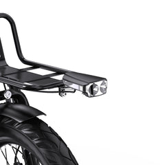 APEFOX RH30 Cargo Tricycle Bike