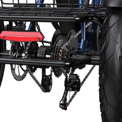 APEFOX RH30 Cargo Tricycle Bike