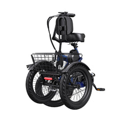 APEFOX RH30 Cargo Tricycle Bike