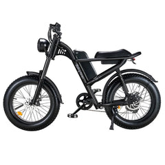 Riding Times Z8 Electric Bike - PREORDER - ETA SEPTEMBER END.