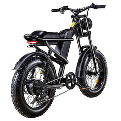 Riding Times Z8 Electric Bike - PREORDER - ETA SEPTEMBER END.