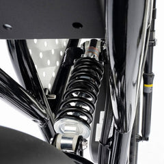 Ridstar Q20 Mini Electric Bike - PREORDER - EXPECTED IN SEPTEMBER.