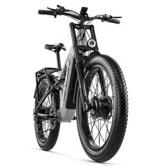 Shengmilo S600Pro Dual Motor Electric Bike