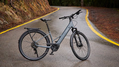 TENWAYS AGO AIR HYBRID Electric Cargo Bike