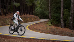 TENWAYS AGO AIR HYBRID Electric Cargo Bike