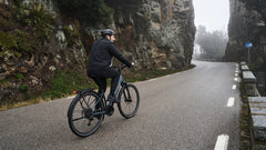 TENWAYS AGO AIR HYBRID Electric Cargo Bike