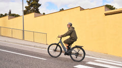TENWAYS AGO AIR HYBRID Electric Cargo Bike