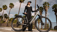 TENWAYS AGO AIR HYBRID Electric Cargo Bike
