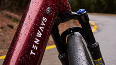 TENWAYS AGO AIR HYBRID Electric Cargo Bike