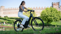 TENWAYS AGO T HYBRID Electric Cargo Bike