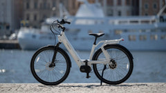 TENWAYS AGO T HYBRID Electric Cargo Bike