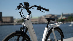 TENWAYS AGO T HYBRID Electric Cargo Bike