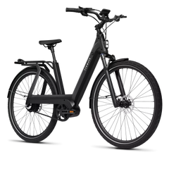 TENWAYS AGO T HYBRID Electric Cargo Bike