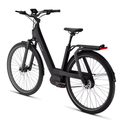 TENWAYS AGO T HYBRID Electric Cargo Bike