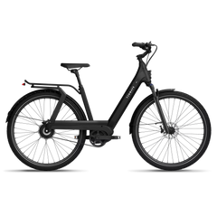 TENWAYS AGO T HYBRID Electric Cargo Bike