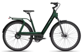 TENWAYS AGO T HYBRID Electric Cargo Bike