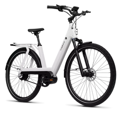 TENWAYS AGO T HYBRID Electric Cargo Bike