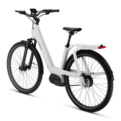 TENWAYS AGO T HYBRID Electric Cargo Bike