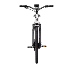 TENWAYS AGO T HYBRID Electric Cargo Bike