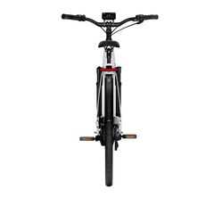 TENWAYS AGO T HYBRID Electric Cargo Bike