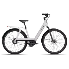 TENWAYS AGO T HYBRID Electric Cargo Bike