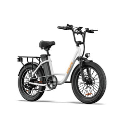 URLIFE E20 Step-Thru Electric Cargo Bike