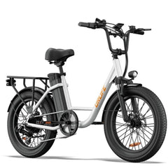 URLIFE E20 Step-Thru Electric Cargo Bike