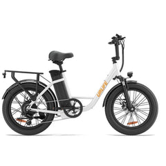URLIFE E20 Step-Thru Electric Cargo Bike