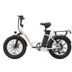 URLIFE E20 Step-Thru Electric Cargo Bike