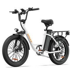 URLIFE E20 Step-Thru Electric Cargo Bike