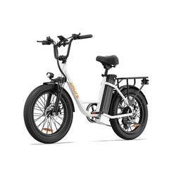 URLIFE E20 Step-Thru Electric Cargo Bike