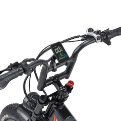RANDRIDE YX20M-2 Dual Motor Electric Bike Preorder