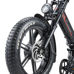 RANDRIDE YX20M-2 Dual Motor Electric Bike Preorder