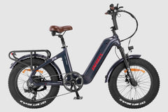 FAFREES F20 Master E-bike