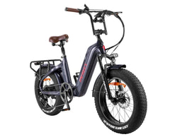 FAFREES F20 Master E-bike