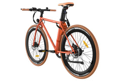 Fafrees F1 Electric Bike
