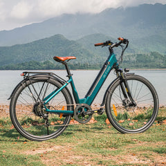 Fiido C11 Pro City Cargo E-bike - PREORDER - ETA 3 WEEKS.