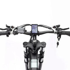 Ridstar H26 Pro Electric Bike - PREORDER - EXPECTED IN SEPTEMBER.