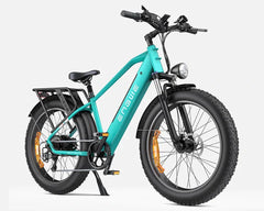 ENGWE E26 Electric Mountain Bike - Pogo Cycles