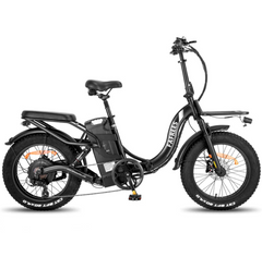 Fafrees F20 X-Max Electric Cargo Bike