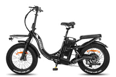 Fafrees F20 X-Max Electric Cargo Bike
