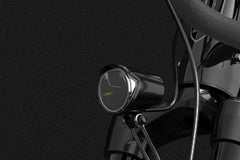 Lankeleisi MX600 Pro Electric Cargo Bike ETA (Grey) Mid of July