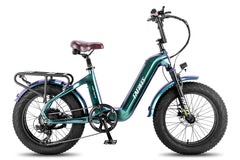 FAFREES F20 Master E-bike - Pogo Cycles
