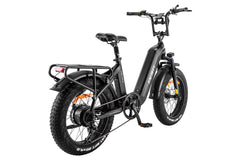 FAFREES F20 Master E-bike - Pogo Cycles