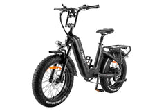 FAFREES F20 Master E-bike - Pogo Cycles